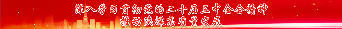 深入學(xué)習貫徹黨的二十屆三中(zhōng)全會精(jīng)神 推動陝煤高質(zhì)量發展